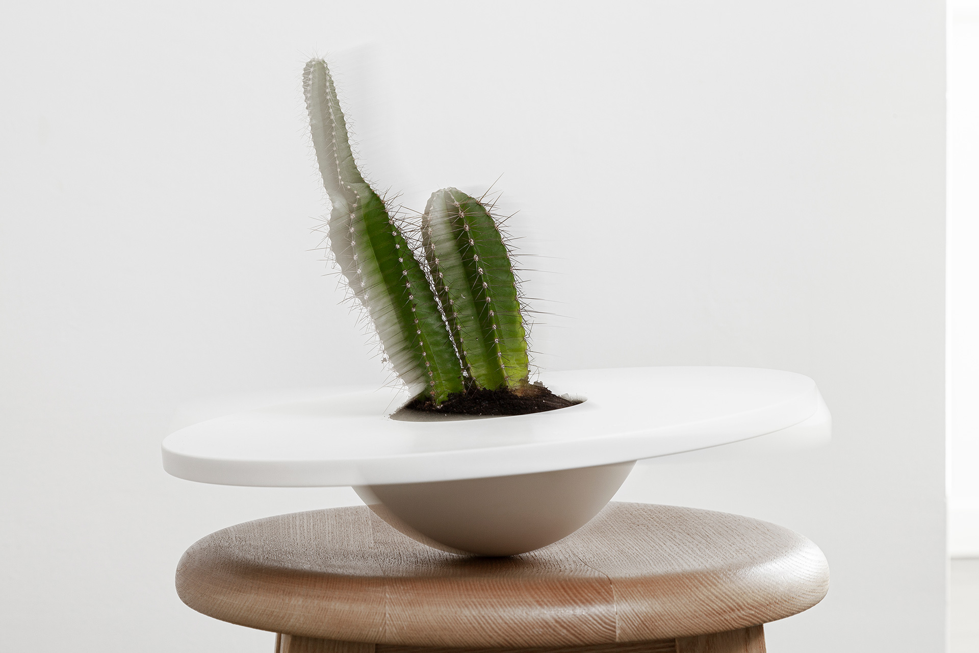 Hat Vase in Pot - DESIGN BY MIGUEL SOEIRO