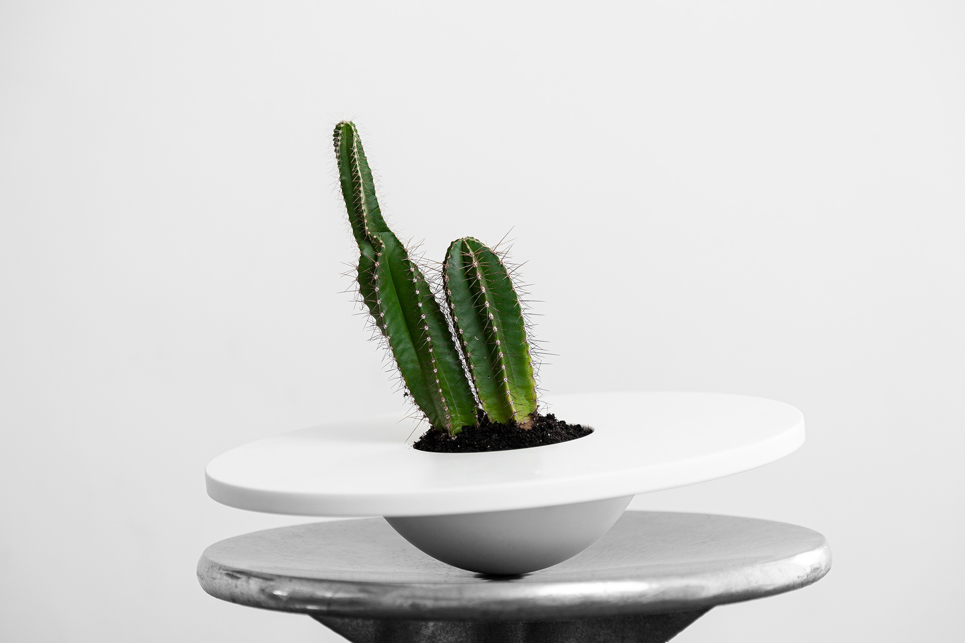 Hat Vase View- DESIGN BY MIGUEL SOEIRO
